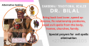 love spells +27648060105 traditional healer near me in tshwane, salt l - product's photo